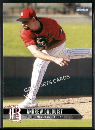 2025 birmingham barons andrew - 2025,