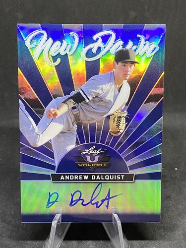 2019 leaf valiant andrew - 2019,